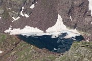 Pizzo Pradella (2626 m) con tanti bei fiori, salito da Valgoglio il 9 luglio 2016 - FOTOGALLERY
